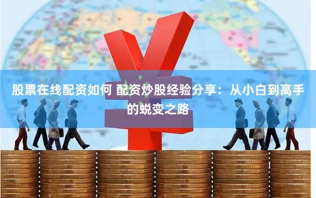 股票在线配资如何 配资炒股经验分享：从小白到高手的蜕变之路